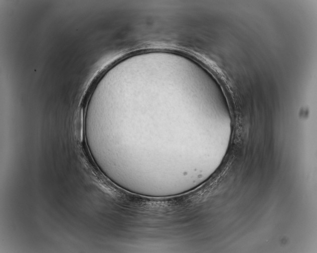 X0000098141223200805011336