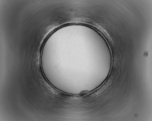 X0000098141224200805011336