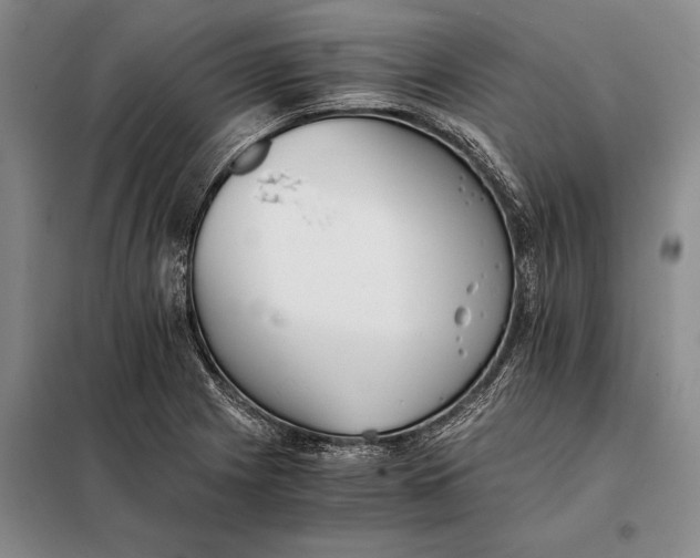 X0000098141225200805011336