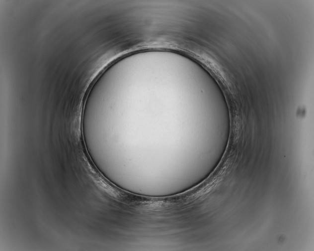 X0000098141228200805011336