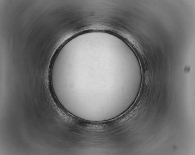 X0000098141229200805011336