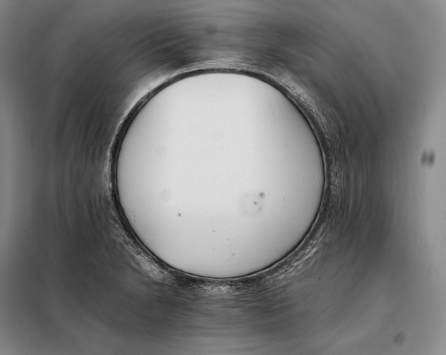 X0000098141230200805011336