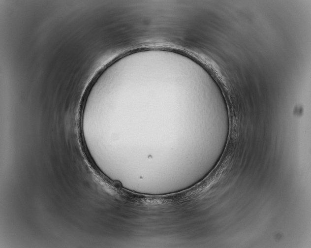 X0000098141231200805011336