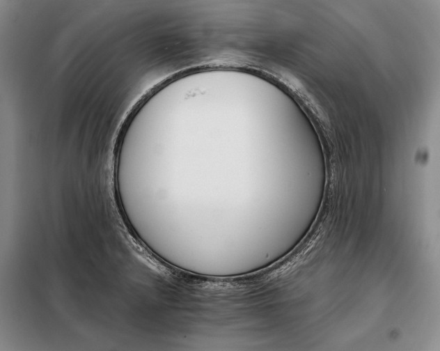X0000098141232200805011336