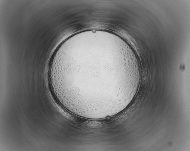 X0000098141235200805011336