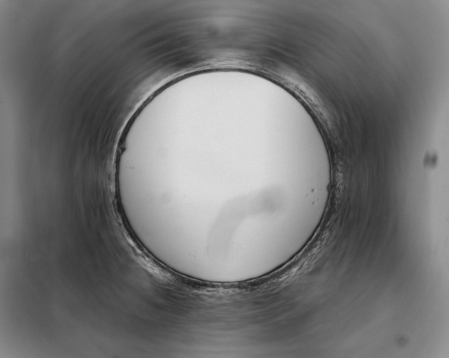 X0000098141236200805011336