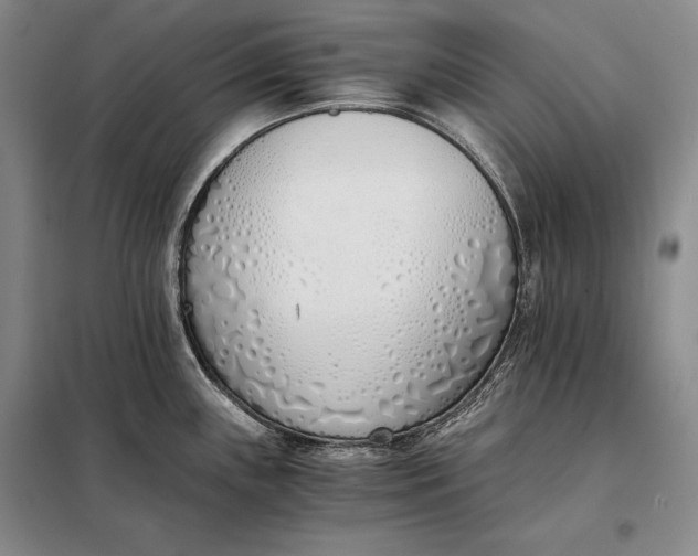 X0000098141243200805011336