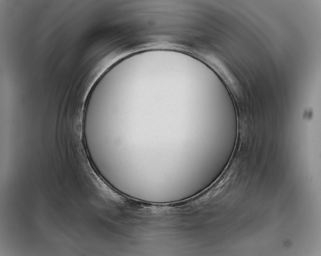 X0000098141244200805011336
