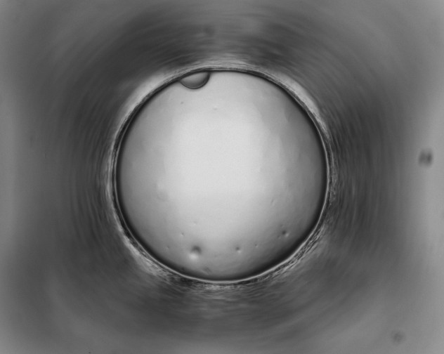 X0000098141245200805011336