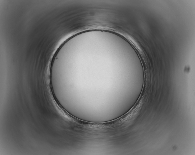 X0000098141246200805011336