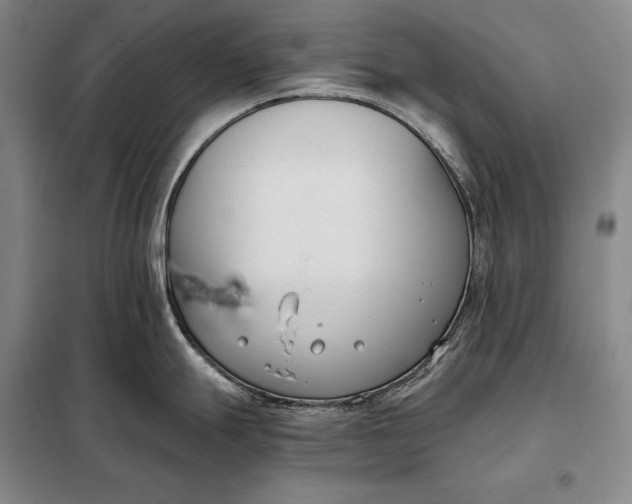 X0000098141247200805011336