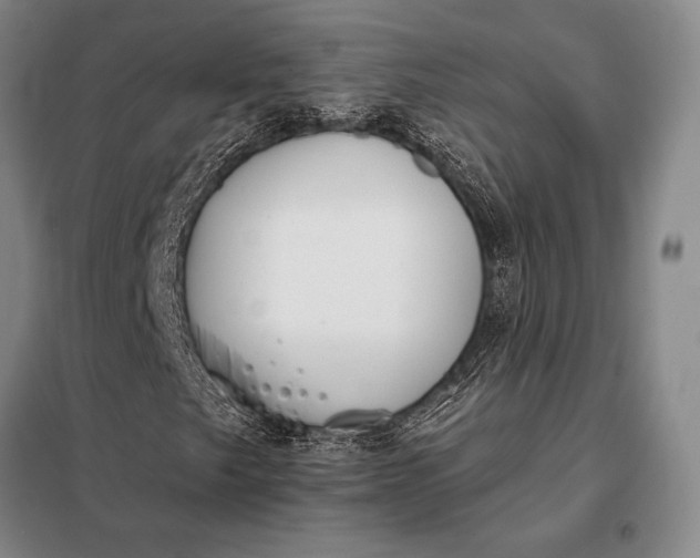 X0000098141249200805011336