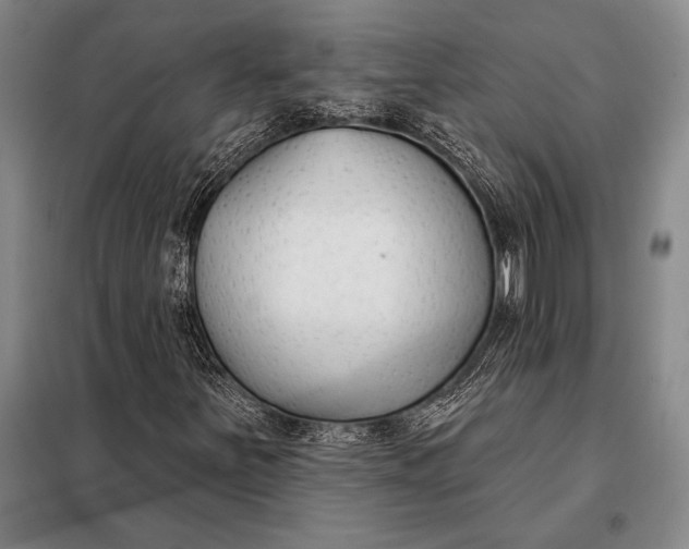 X0000098141251200805011336