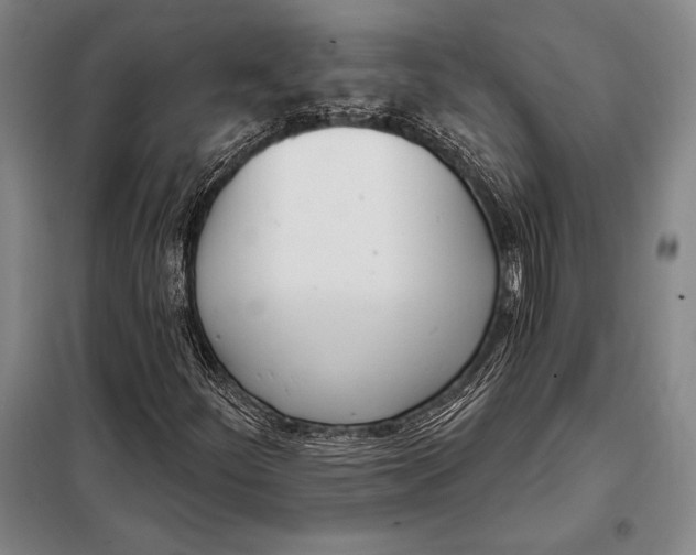 X0000098141252200805011336