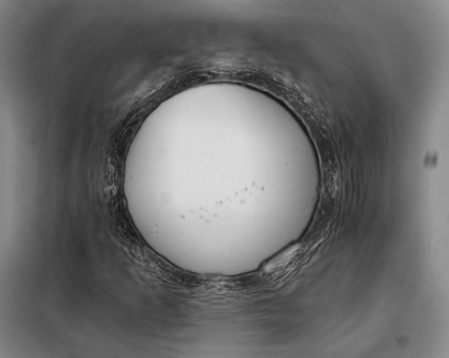 X0000098141253200805011336