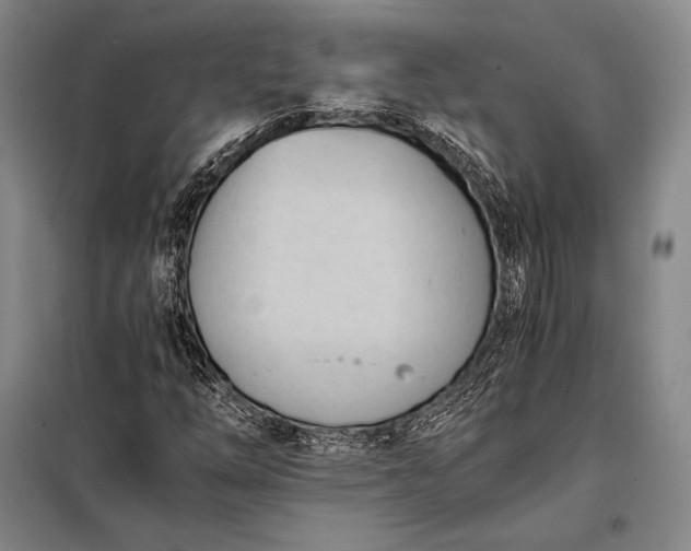 X0000098141254200805011336