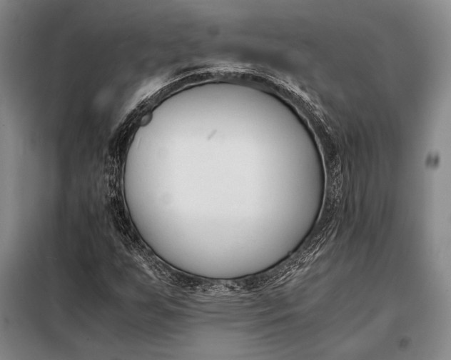 X0000098141255200805011336