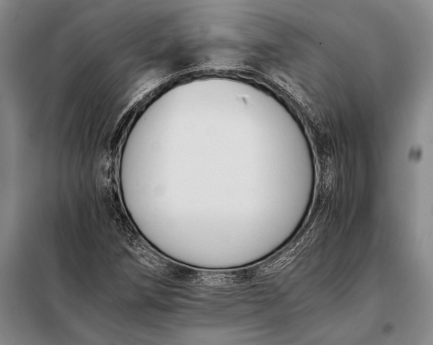 X0000098141258200805011336