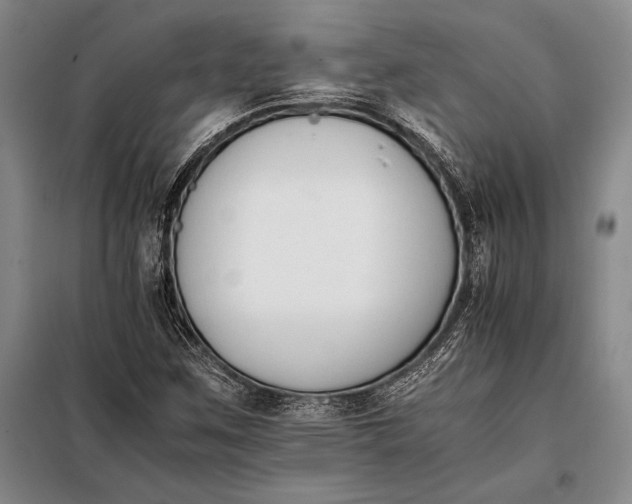 X0000098141259200805011336