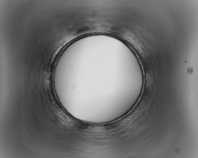 X0000098141260200805011336