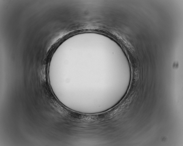 X0000098141262200805011336