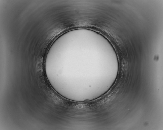 X0000098141265200805011336