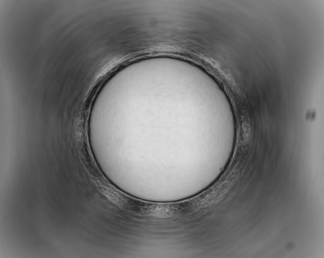 X0000098141266200805011336