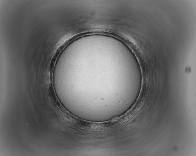 X0000098141267200805011336