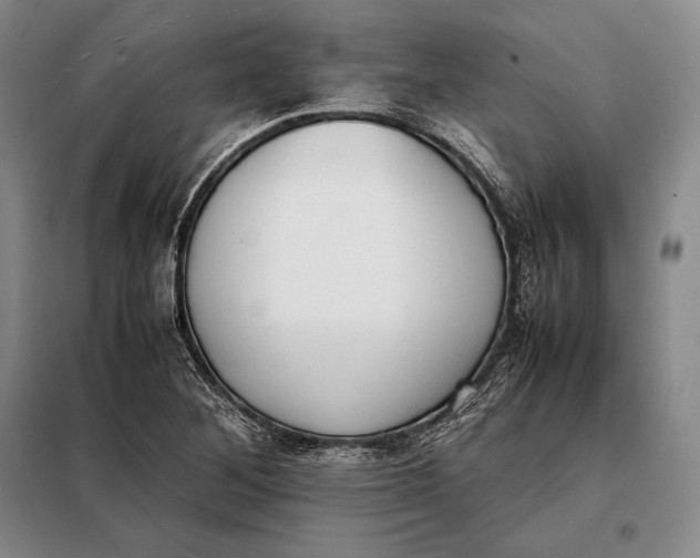 X0000098141268200805011336