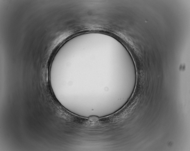 X0000098141269200805011336