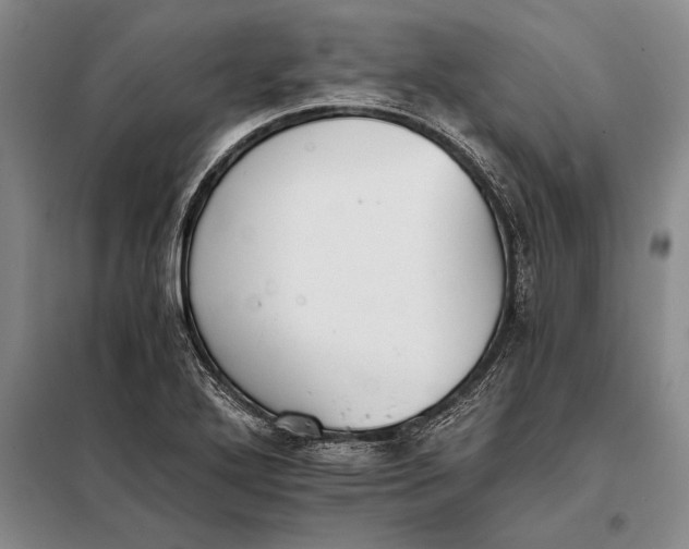 X0000098141272200805011335
