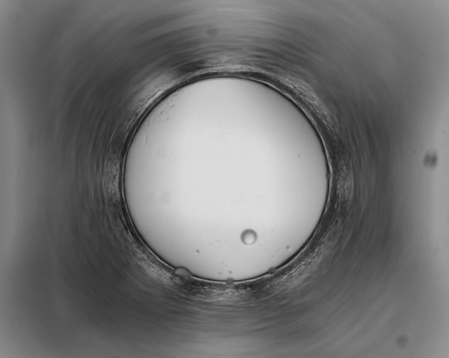 X0000098141273200805011335