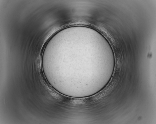 X0000098141274200805011335