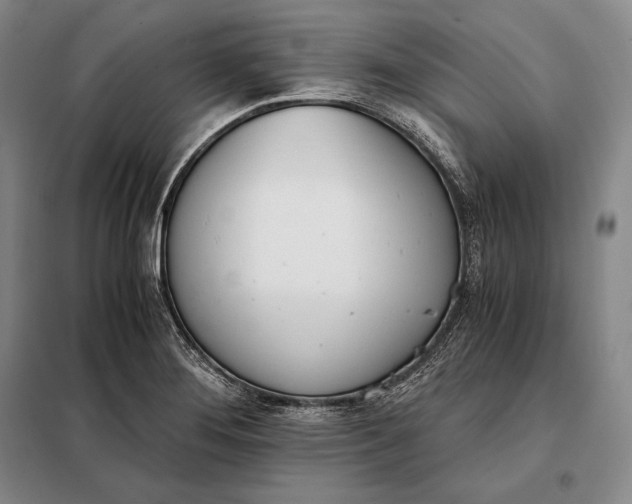 X0000098141276200805011335