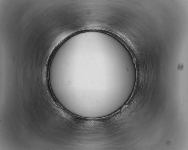 X0000098141277200805011335