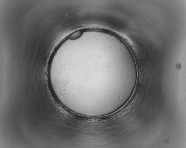 X0000098141279200805011335