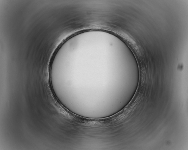 X0000098141280200805011335