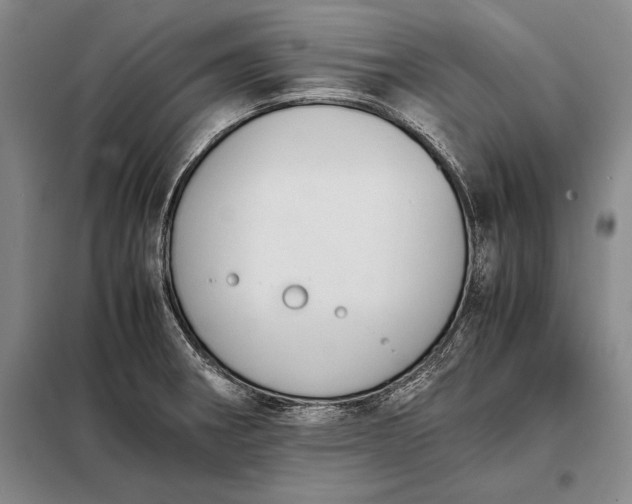X0000098141282200805011335