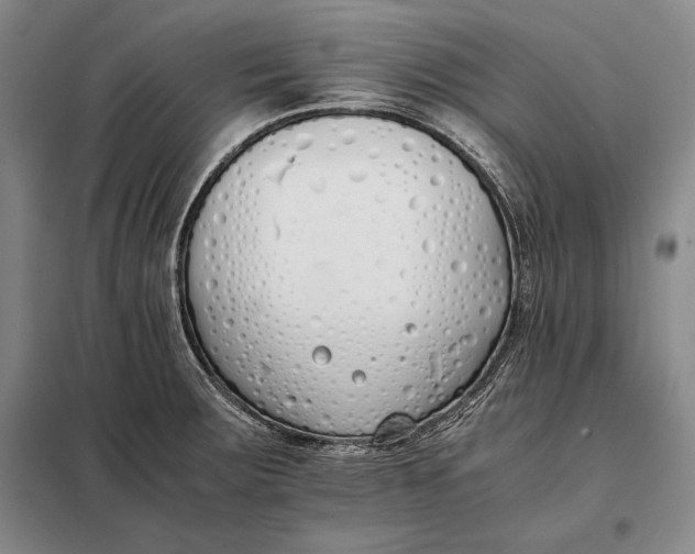 X0000098141283200805011335