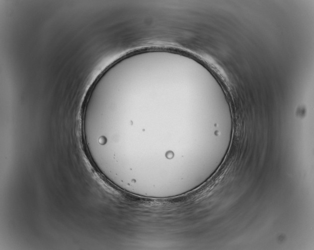 X0000098141287200805011335