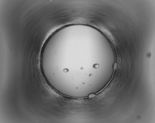 X0000098141288200805011335