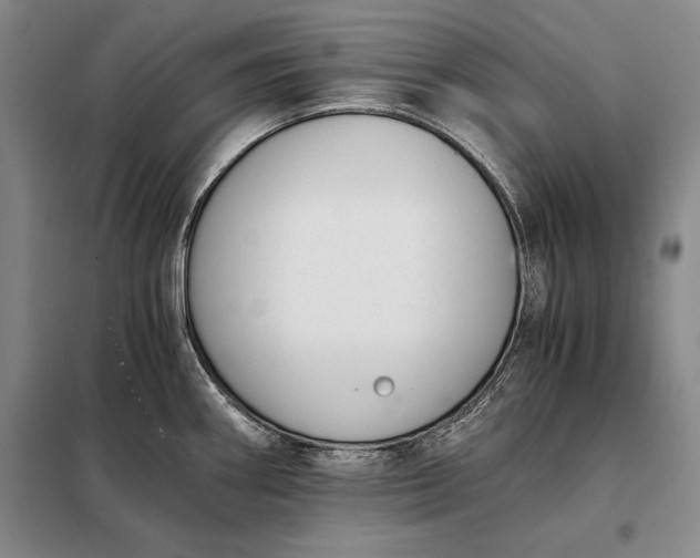 X0000098141290200805011335