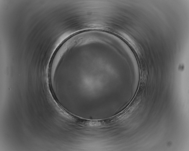 X0000098141291200805011335