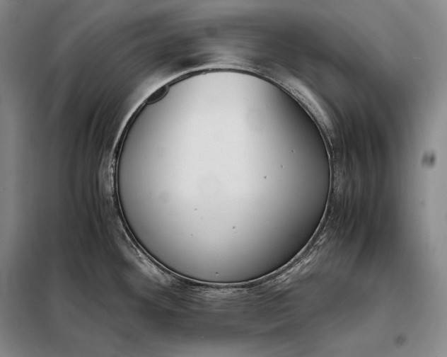 X0000098141292200805011335