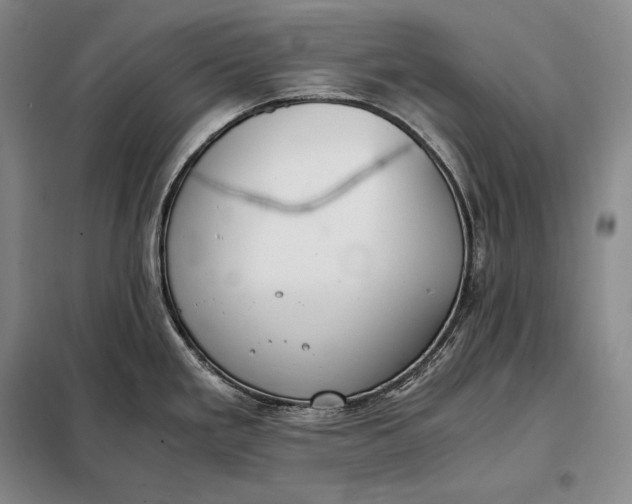 X0000098141293200805011335