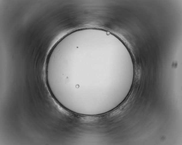 X0000098141294200805011335