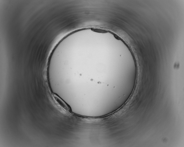 X0000098141296200805011335