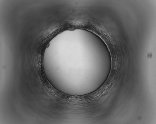 X0000098141301200805011334