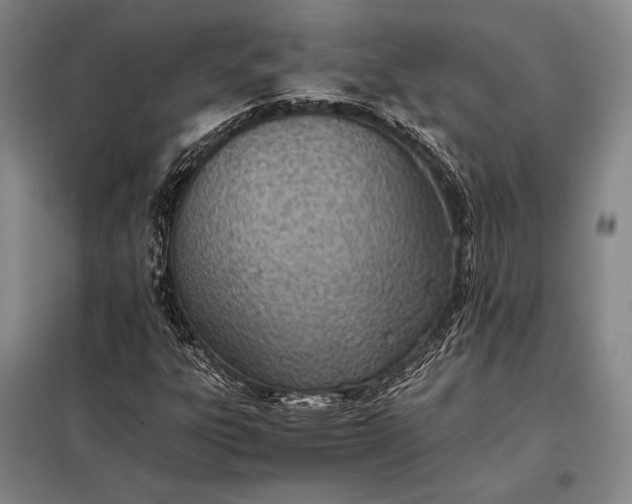 X0000098141303200805011334