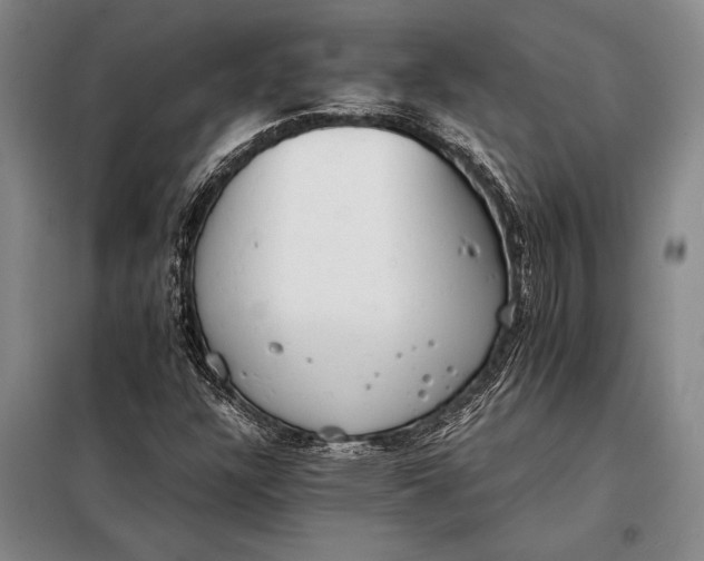 X0000098141304200805011334